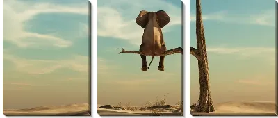 Модульная картина Слон на ветке дерева в пустыне