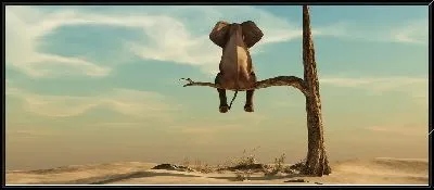 Картина Слон на ветке дерева в пустыне