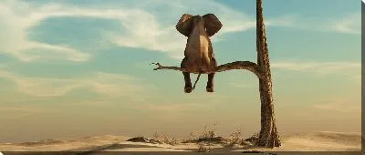 Постер Слон на ветке дерева в пустыне