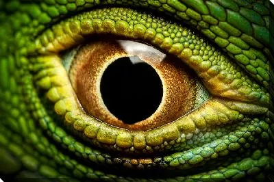Глаз рептилии