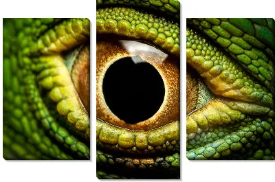 Глаз рептилии