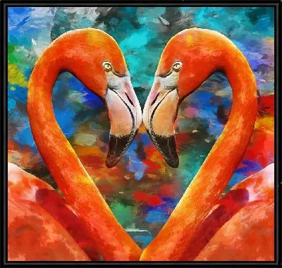 Любовь двух фламинго №2