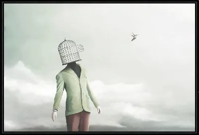 Птица вылетает из клетки