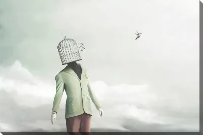 Птица вылетает из клетки