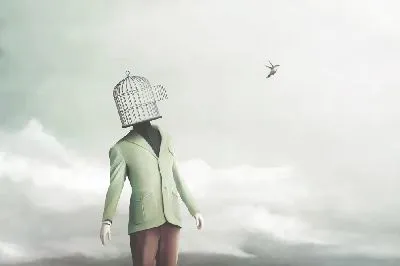 Птица вылетает из клетки