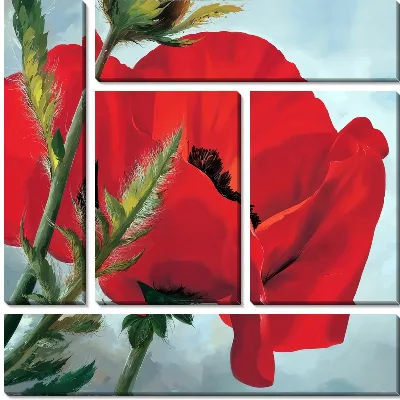 Модульная картина Крупный цветок мака