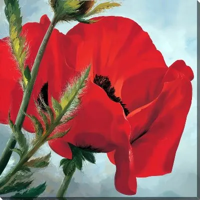 Картина маслом Крупный цветок мака