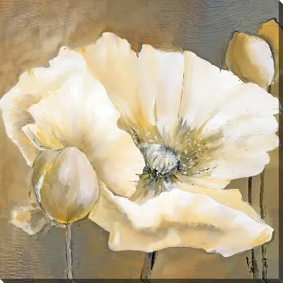 Картина маслом Бутон крупного белого мака