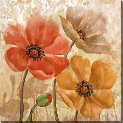 Винтажные маки