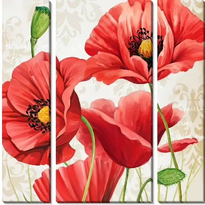 Модульная картина Маки красного цвета