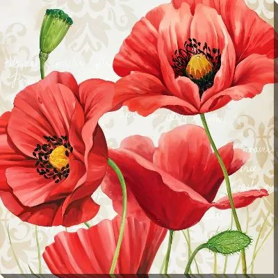 Картина маслом Маки красного цвета