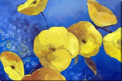 Картина маслом Желтые маки на голубом фоне