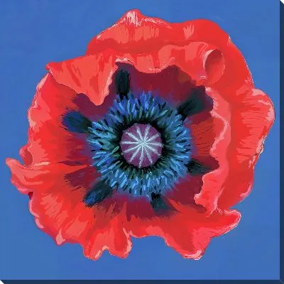 Картина маслом Красный мак на фиолетовом фоне