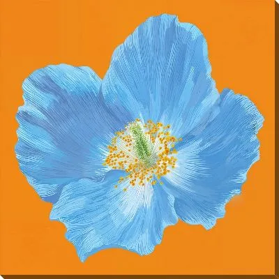 Картина маслом Голубой мак на желтом фоне