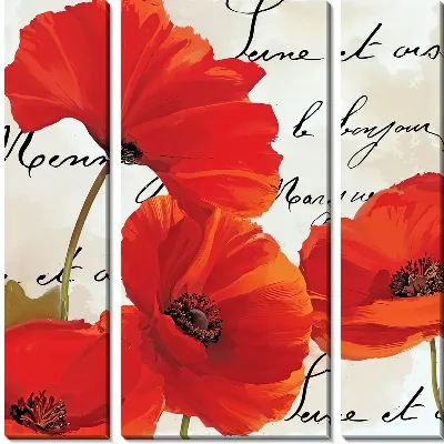 Модульная картина Красные маки на фоне надписей