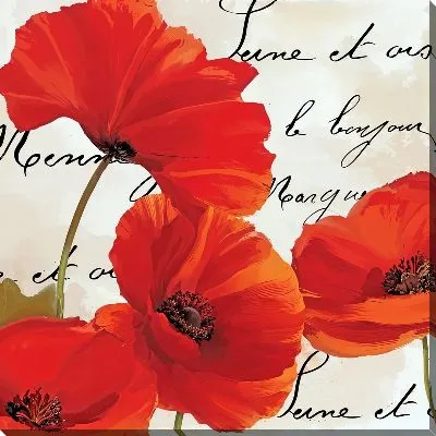 Картина маслом Красные маки на фоне надписей