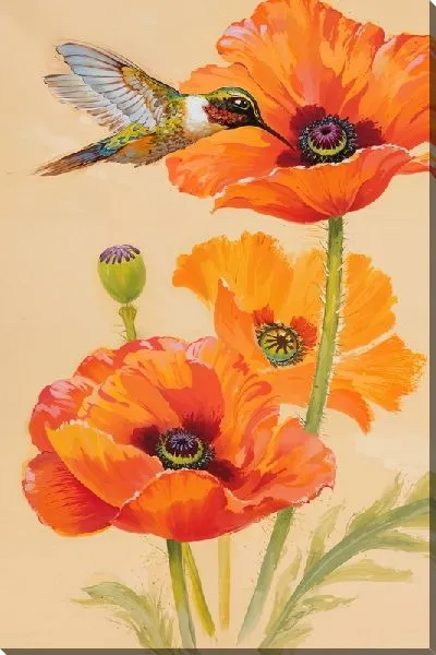 Картина маслом Колибри и маки