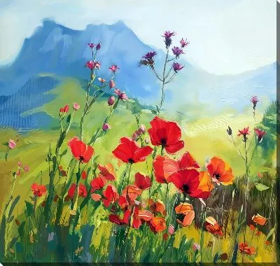 Поле маков на фоне гор