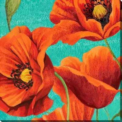 Красные маки на зеленом фоне