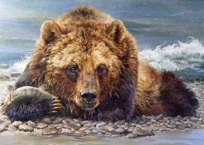 Плакат Медведь на берегу