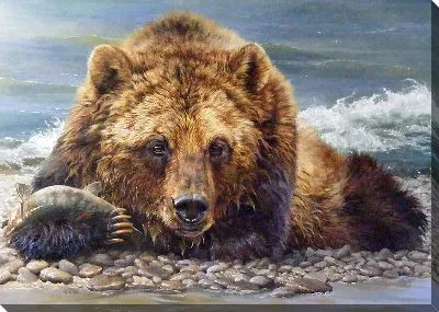 Постер Медведь на берегу