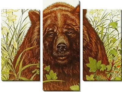 Модульная картина Медведь в кустах