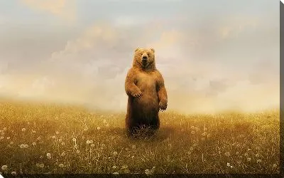 Картина маслом Медведь в поле