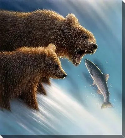 Постер Медведи на рыбалке