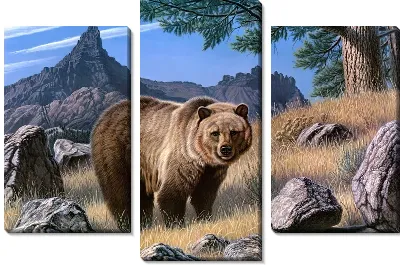 Модульная картина Бурый медведь в горах