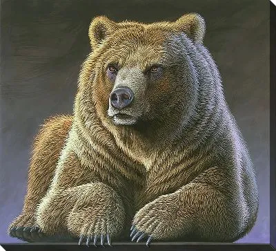 Картина маслом Строгий медведь