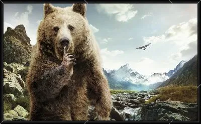 Тсссс от медведя