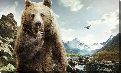 Тсссс от медведя