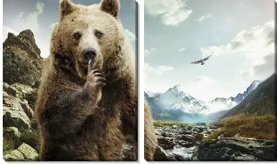 Тсссс от медведя