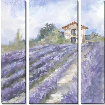 Лавандовое поле в Провансе