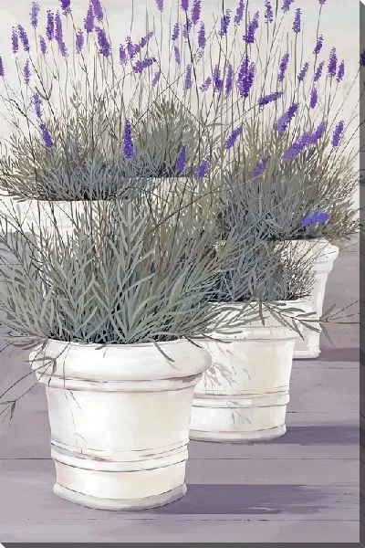 Картина маслом Кашпо с лавандой