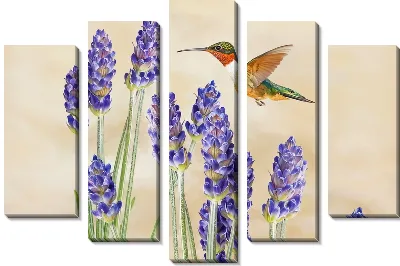 Колибри и лаванда