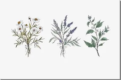 Картина маслом Ромашки и лаванда