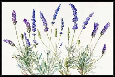 Картина Цветы лаванды