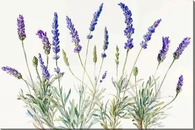 Картина маслом Цветы лаванды