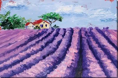 Постер Лавандовое поле на фоне домика