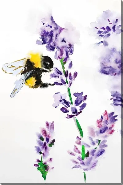Постер Пчела опыляет цветок лаванды