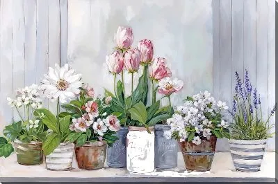 Картина маслом Подоконник с разными цветами
