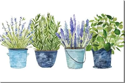 Картина маслом Растения в кашпо