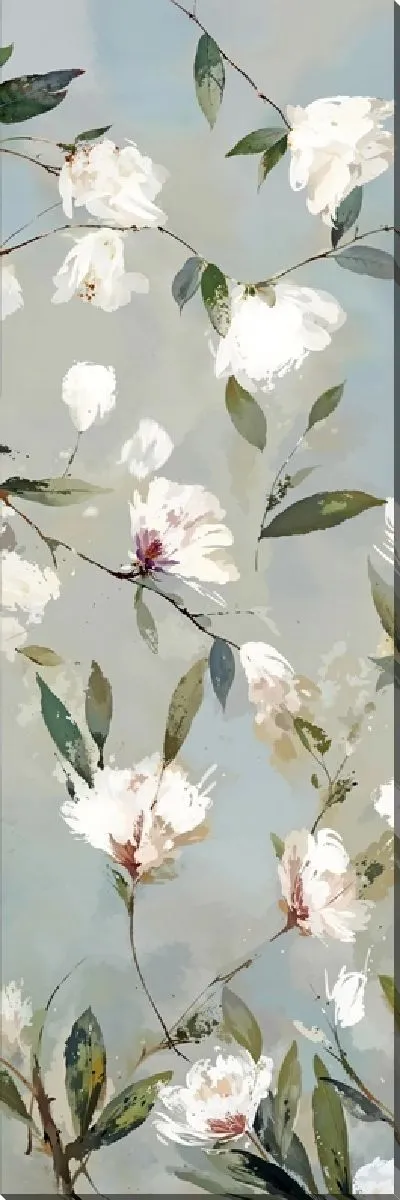 Постер Красивые белые магнолии