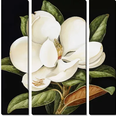 Модульная картина Макро магнолия