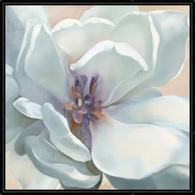 Макро магнолии