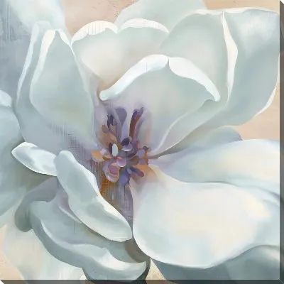 Картина маслом Макро магнолии