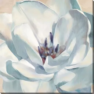 Постер Макро магнолии №2