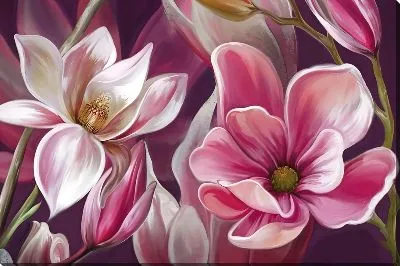 Картина маслом Бело-розовые бутоны магнолии