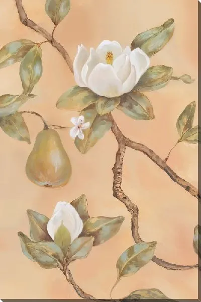 Постер Магнолия и груша